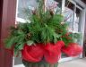 Large-evergreen-planter.jpg